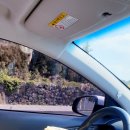 스테이비갠오후 이미지