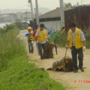 백석배수펌프장 이미지