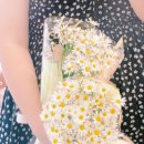 설유화플라워 - 강서구 공항대로38길 106 | 설유화플라워