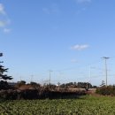 하도 생각나 민박 이미지