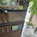 밀레쥬 에듀파크 이미지