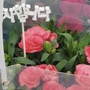 수정꽃마을 이미지