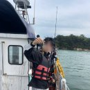 대야도항 이미지