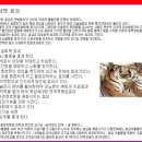중앙인삼 Daum카페