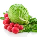 늘좋은내과의원 이미지