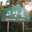 목일