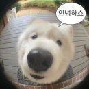 시선끌다 | 까치까치 설날은 어저께고요, 우리우리 설날은 오늘이래요~