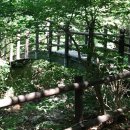 연아식당 이미지