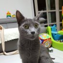 대가미공원 이미지