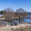 대청호오백리길 호반낭만길 | 대전 여행 대청호오백리길 4구간 호반낭만길 명상정원 당일치기