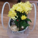 남성이용소 이미지