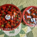 팔복농장 이미지