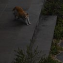 까사인 제주 이미지