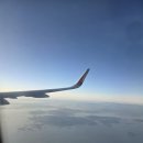 다마내기 | 제주 시청 이자카야 다마내기 에서 분위기 즐겨보세요 내돈내산 후기