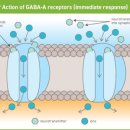 하이반려동물행동클리닉 이미지