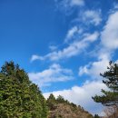 거린사슴전망대 | [제주도] 1100고지~거린사슴오름(거린사슴전망대), 휴게소 꼬치어묵맛집, 주차장 후기