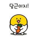 파워점핑다이어트 이미지
