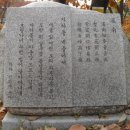 서울대학교(관악캠퍼스) Daum카페