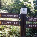 구령목장 Daum카페