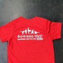 용인대태권도 이미지