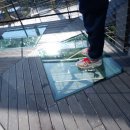 오로라파크 눈꽃전망 이미지