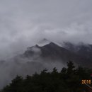 금강산금방
