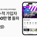 후루츠 이미지
