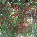 장생농장 이미지