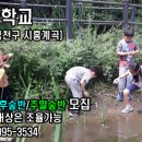 자연이랑자연으로 이미지