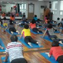 어르신요가 이미지