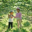 누렁이농장 이미지