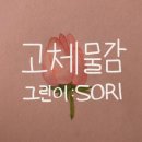 주식회사 알마로꼬 이미지