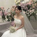 1108 | W3. 본식스냅_스냅1108 계약후기