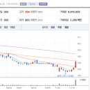 비엔씨산업 이미지