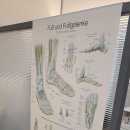홈플러스 앞 보도 | 창원,마산,진해 파고드는 발톱 관리 수소문 끝에 다녀온 닥터페디 본점 후기