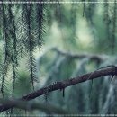 웰빙체형관리 이미지