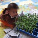 가온어린이집 이미지