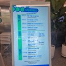 티지 인터렉티브 | 명동 볼거리 현대차 정몽구 재단 온드림 소사이어티 위크 2022