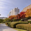 소노벨비발디파크 이미지