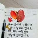 인생의 끝없는 성숙 이미지