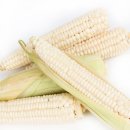 클래식영농조합법인