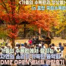 가을의 수목원에서 즐기는 자연의 소리가 가득한 음악회, DMZ OPEN 콘서트 관람후기 :: 가을의 수목원과...