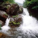 수원-0265 네이버블로그