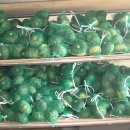 효산농장 이미지