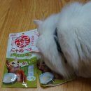 (주)예원통상 | 나고미 냐매루 스틱 고양이 간식 후기 (f.펫라이크+클로펫)