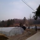 율석2리 이미지