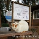 처음 시작하는 어반스케치(여행드로잉) 이미지