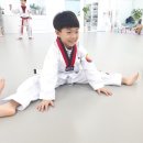 동부태권도장 이미지