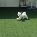 아지스테이션