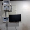 현대 동물병원 이미지